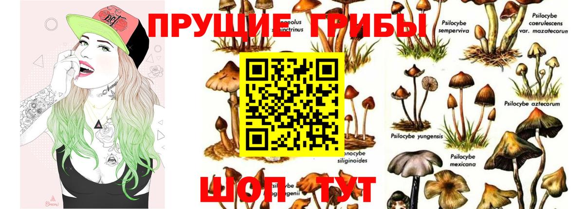 Галлюциногенные грибы мицелий Котовск